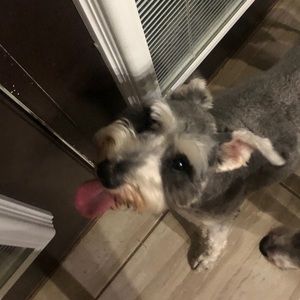 Meet your Posher, Jeanne